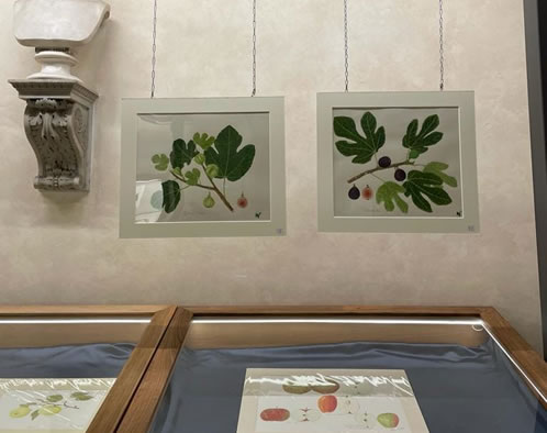 accademia dei georgofili