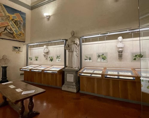 accademia dei georgofili